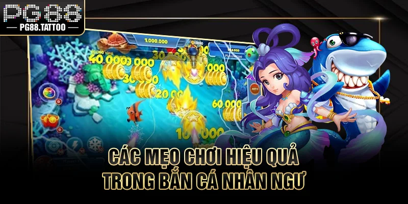 Các mẹo chơi hiệu quả trong săn cá nhân ngư