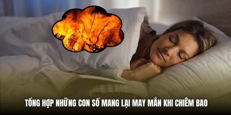 Tổng hợp những con số mang lại may mắn khi chiêm bao