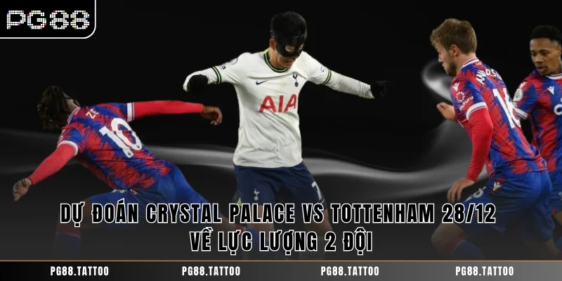 Dự đoán Crystal Palace vs Tottenham 28/12 về lực lượng 2 đội